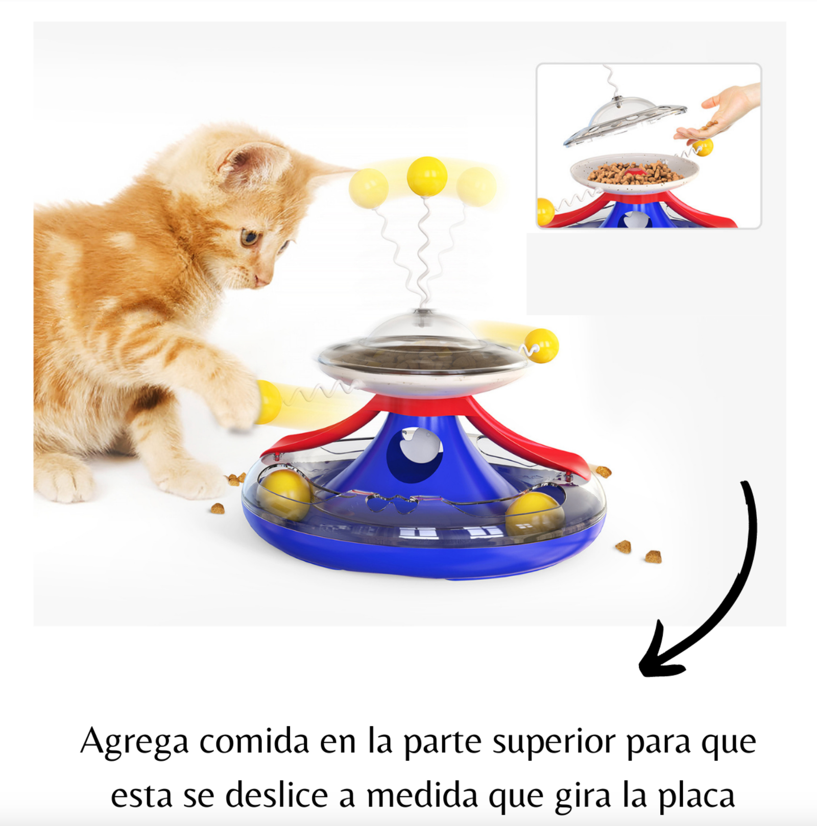 Placa Interactiva Circus - Imagen 3